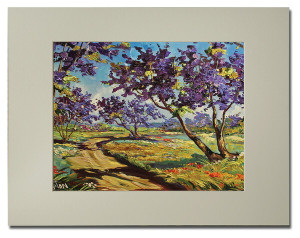 Jacaranda